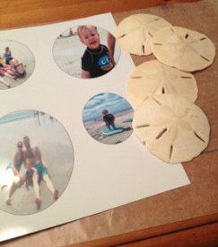 How to Make Christmas Ornaments Out of Sand Dollars